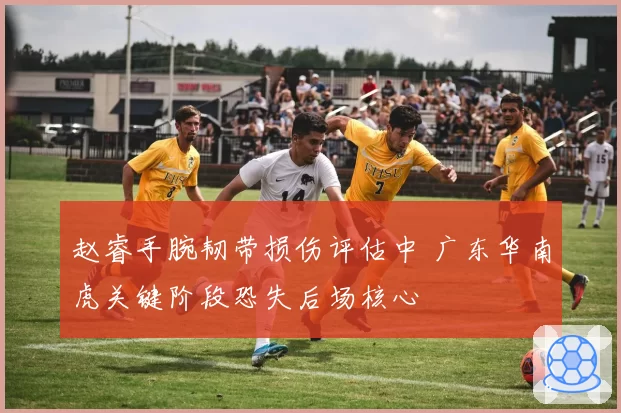 赵睿手腕韧带损伤评估中 广东华南虎关键阶段恐失后场核心
