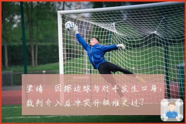 梁靖崑因擦边球与对手发生口角，裁判介入后冲突升级谁之过？
